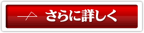 ɏڂ